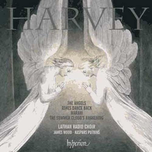 The Angels, Ashes Dance Back, Marahi, The Summer Cloud's Awakening