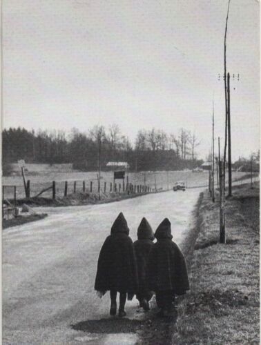 Carte Programme D'invitation A La Galerie Nadar 20 Decembre 2001/31 Janvier 2002 - Exposition Willy Ronis Par Willy Ronis