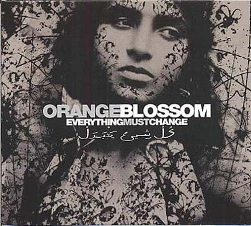 Every Thing Must Change