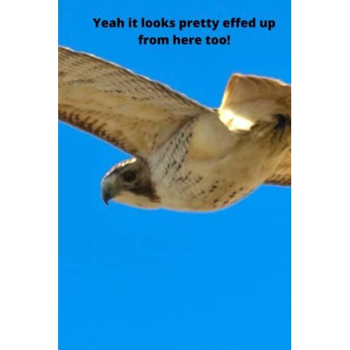 Yeah It Looks Pretty Effed Up From Here Too!: Stocking Stuffers Journal