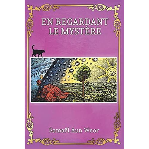 En Regardant Le Mystã¿Re: Esotã©Risme Gnostique