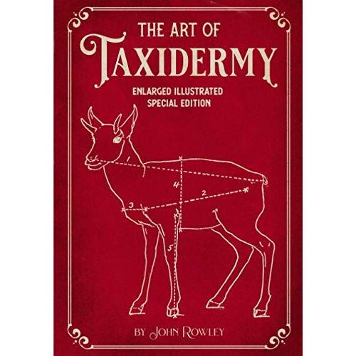 The Art Of Taxidermy: Enlarged Illustrated Special Edition