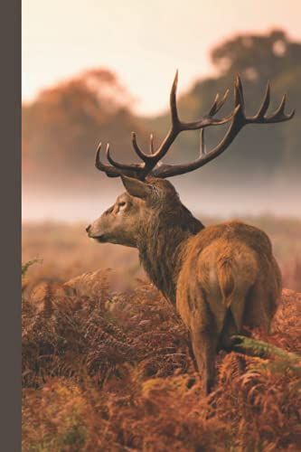 Take Up Your Bow And Quiver Notebook: 6x9 Lined Notebook For Men