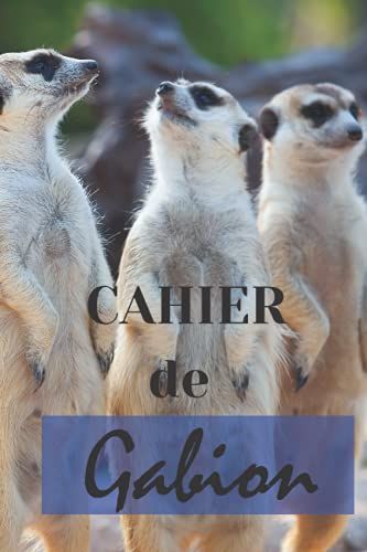 Cahier De Gabion-Hutte-Tonne: Carnet De Bord Du Huttier | Livre De Chasse À La Tonne |Cahier De Bord Du Gabion|Carnet D'observations Et De Prélèvement Chasse Migrateurs,Élément Indispensable Du Huttie