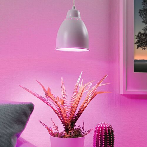 Paulmann Neordic Hilla Suspension, Blanche
