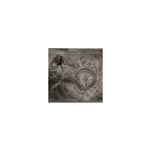 Into The Womb...