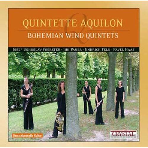 Quintette À Vent De Bohème