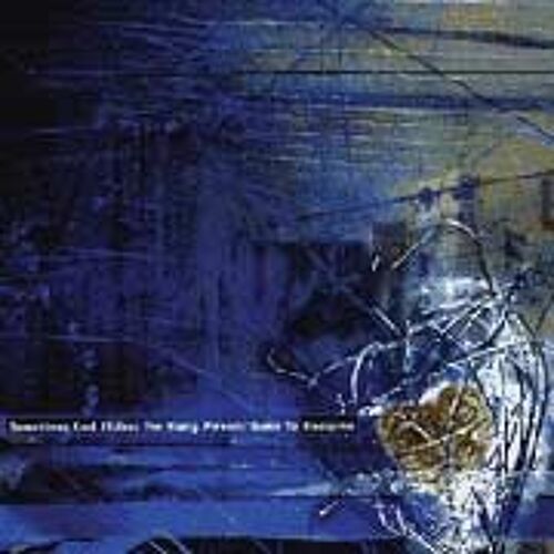 Young Person's Guide To Discipline - Sometimes God Hides - Volume One