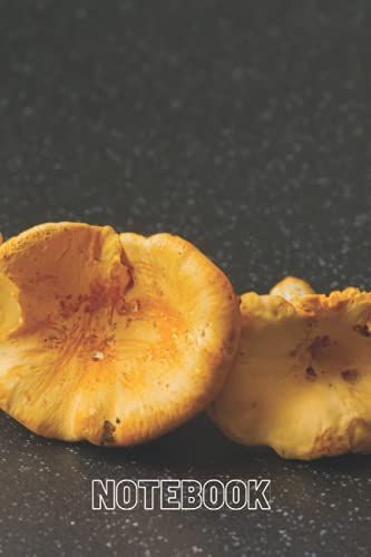 Girolle Notebook: Blank Lined Composition Journal | Girolle Notebook | 100 Pages