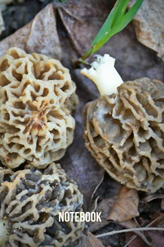 Morille Blonde Notebook: Blank Lined Composition Journal | Morille Blonde Notebook | 100 Pages