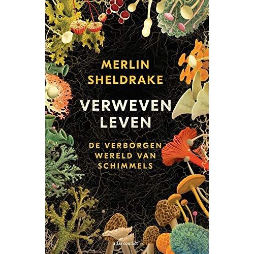 Verweven Leven: De Verborgen Wereld Van Schimmels