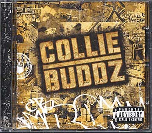 Collie Buddz