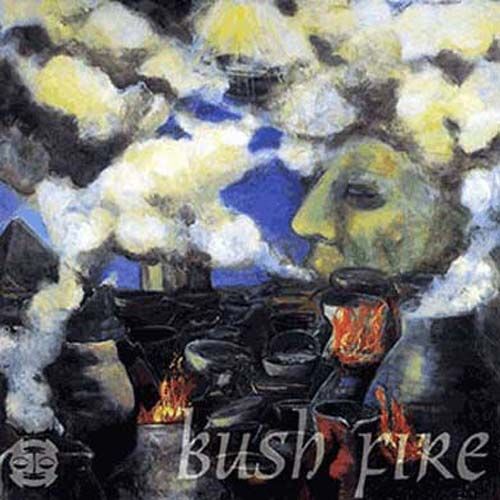 Bush Fire