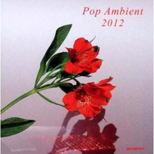 Pop Ambient 2012