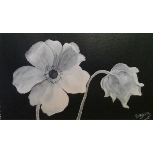 Fleur D'automne