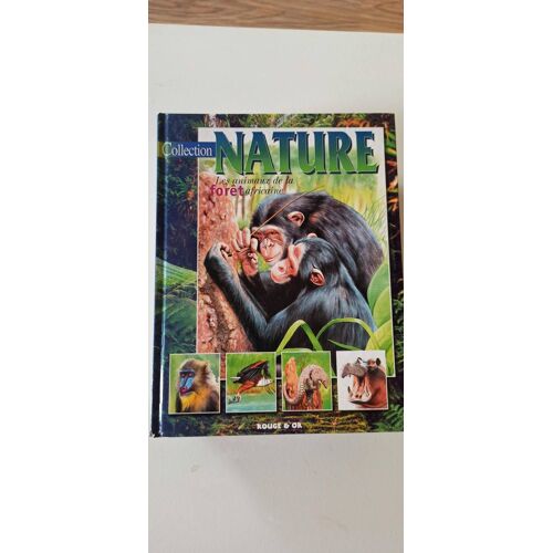 Les Animaux De La Forêt Africaine