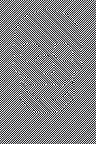 Skull - Illusion Optique - Affiche / Poster Envoi En Tube