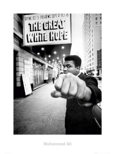 Ali Muhammad - Great White - Art Print - Affiche / Art Print Sur Papier Épais/  Envoi En Tube