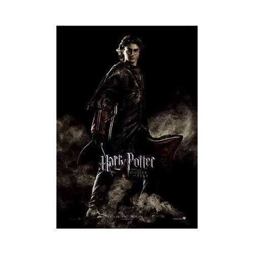 Harry Potter - Harry - Affiche / Poster Envoi En Tube