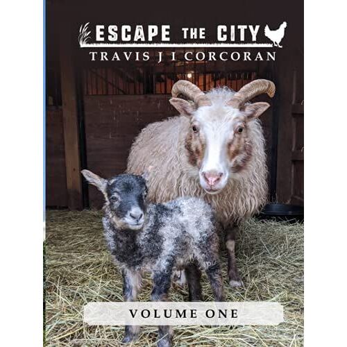 Escape The City Volume 1