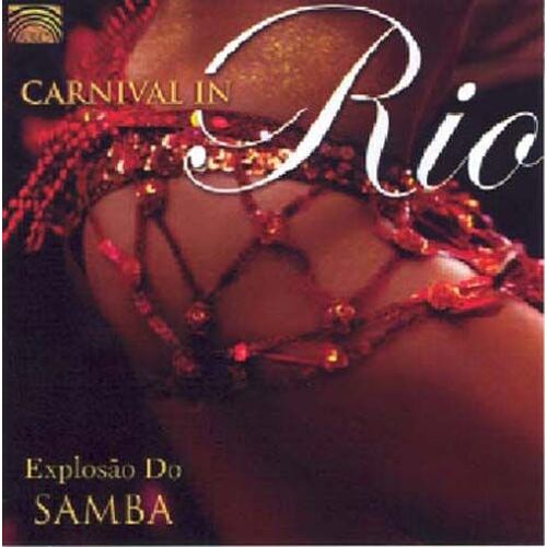 Brésil : Carnaval De Rio