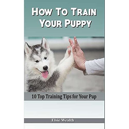 How To Train Your Puppy: 10 Top Training Tips For Your Pup