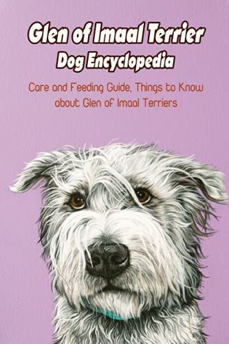 Glen Of Imaal Terrier Dog Encyclopedia: Care And Feeding Guide, Things To Know About Glen Of Imaal Terriers: Glen Of Imaal Terrier Dog Handbook