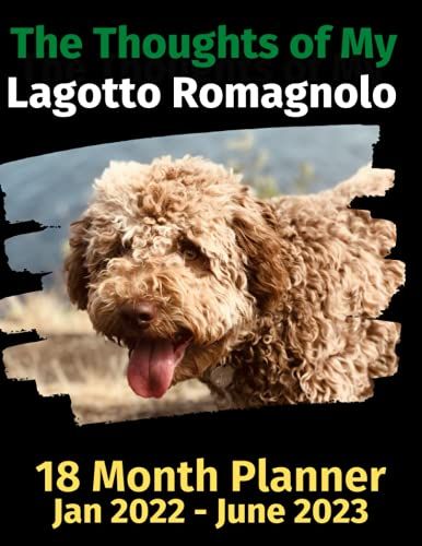 The Thoughts Of My Lagotto Romagnalo: 18 Month Planner Jan 2022-June 2023