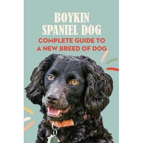Boykin Spaniel Dog: Complete Guide To A New Breed Of Dog: Boykin Spaniel Dog Breed Information And Pictures