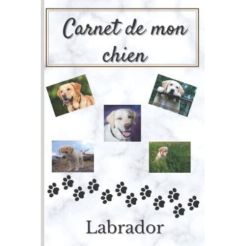 Carnet De Mon Chien Labrador: Carnet De Souvenir De Mon Chien Labrador | Cahier De Suivi De La Vie De Mon Chien | Suivi Des Souvenirs De Mon Chien | ... 15,24 Cm X 22,86 Cm Pour Transporter Partout