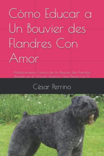 Cómo Educar A Un Bouvier Des Flandres Con Amor: Adiestramiento Canino De Un Bouvier Des Flandres Basado En El Vínculo Afectivo Que Tienes Con Él