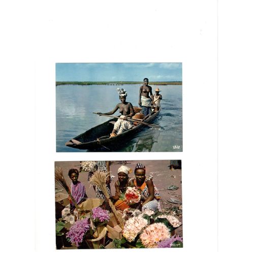 Lot De 3 Cartes "Afrique En Couleurs"