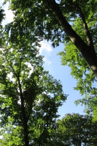 European Beech Notebook: Blank Lined Composition Journal | European Beech Notebook | 100 Pages