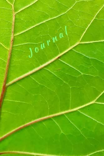 J O U R N A L