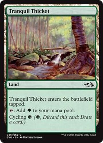 Halliers Tranquilles - Tranquil Thicket - Magic Mtg - Duel Deck Anthology Elves