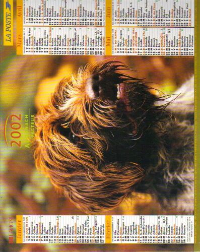 Almanach / Calendrier 2002 / Chien Griffon Et Setter Anglais / Feuillet Interne : Recettes