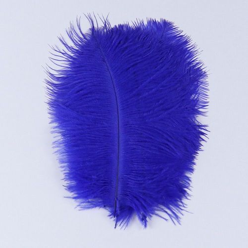 Plumes D'autruche Moelleuses Pour Vase Naturel,Replcatcher,Décorations,Fournitures D'artisanat,Accessoires De Mariage,Bijoux,Plumes Exécutives,10 Pièces - Type Royal Blue-15-20cm