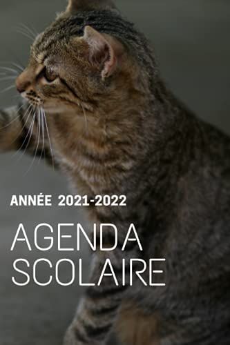 Agenda Scolaire 2021-2022 (Août 2021 À Juillet 2022): Page De Couverture Chat