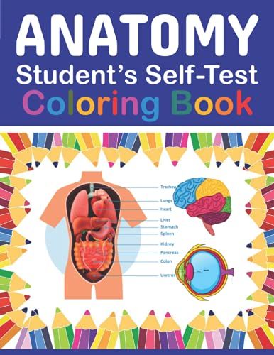Anatomy Student's Self-Test Coloring Book: Human Body Student's Self-Test Coloring Book. Great Book For Anatomy Lovers Boys & Girls. Human Anatomy ... Anatomy & Physiology Coloring Book.