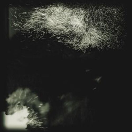 Fall Into The Light/Pilgrim