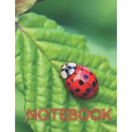 Colorful Ladybug Notebook: Lined, 120 Pages, 8.5 X 11 Paperback: Any Form Of Writing. Perfect Gift For Girls And Women.