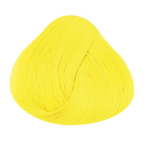 La Riche Bright Daffodil 