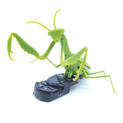 Simulation De Télécommande, Mantis, Insecte, Éclairage, Modèle De Jouet, Accessoires De Farces