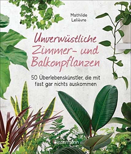Unverwüstliche Zimmer- Und Balkonpflanzen