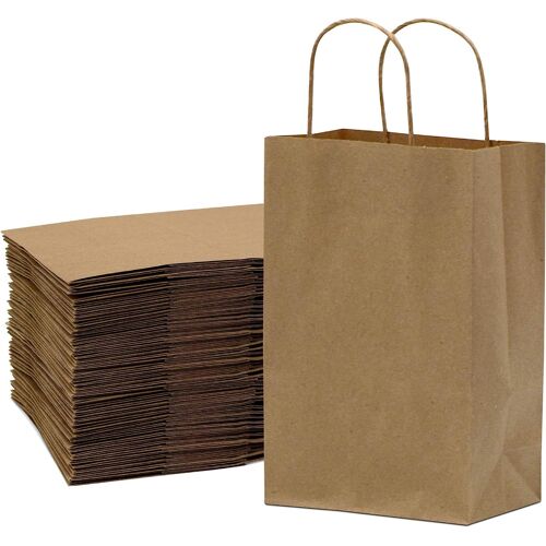 Petits sacs en papier marron avec poignées ? 15,2 x 7,6 x 22,9 cm Lot de 100 sacs à provisions kraft, sacs d'artisanat pour boutiques, cadeaux, petites entreprises, magasins de détail, fêtes d'anniver