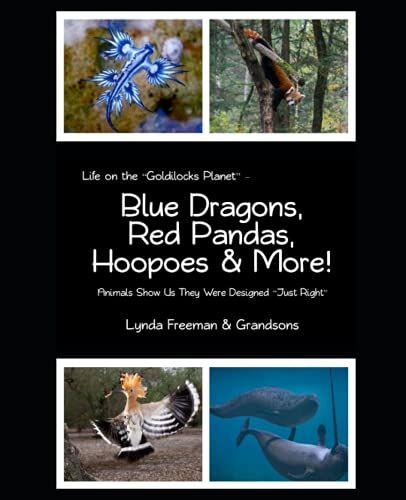 Blue Dragons, Red Pandas, Hoopoes & More! (Life On The Goldilocks Planet)