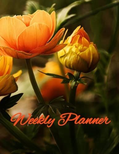 Weekly Planner: Weekly Planner: 52 Page, One Year Weekly Planner (Notes & To-Do List Section On Each Page) 8.5 X 11"