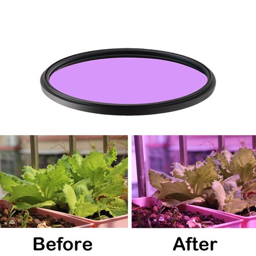 Filtre de gros plan Macro + 1/2/4/8/10,pour Canon,Nikon,Sony 37/40. Sac pour appareil photo DSLR,5/43/46/49/52/55/58/62/67/72mm,densité neutre 77mm - Type Purple-62mm