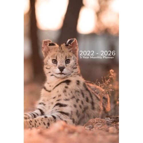 2022-2026 Monthly Planner 5 Years: Tiger Cover,60 Month Monthly Calendar - Time Management - Monthly Focus - 2022-2026 January 2022 To December 2026 / ... Organizer With Goals, Contacts & More