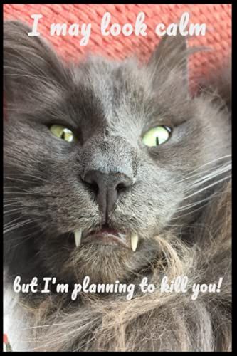 I May Look Calm....: A Great Gift For Cat Lovers And Anyone With A Dark Sense Of Humour